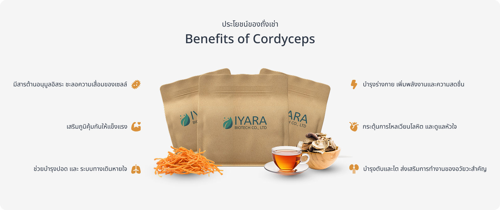 Benefits of Cordyceps
